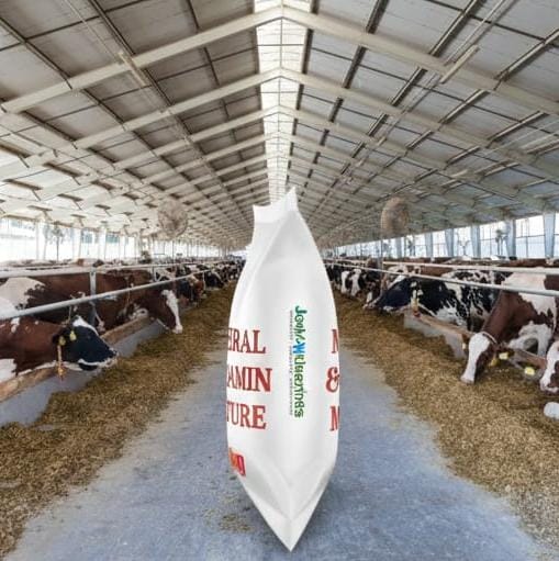 Mineral & Vitamin Mixture 25 kg 