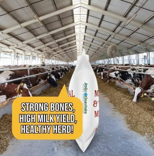 Mineral & Vitamin Mixture 25 kg 