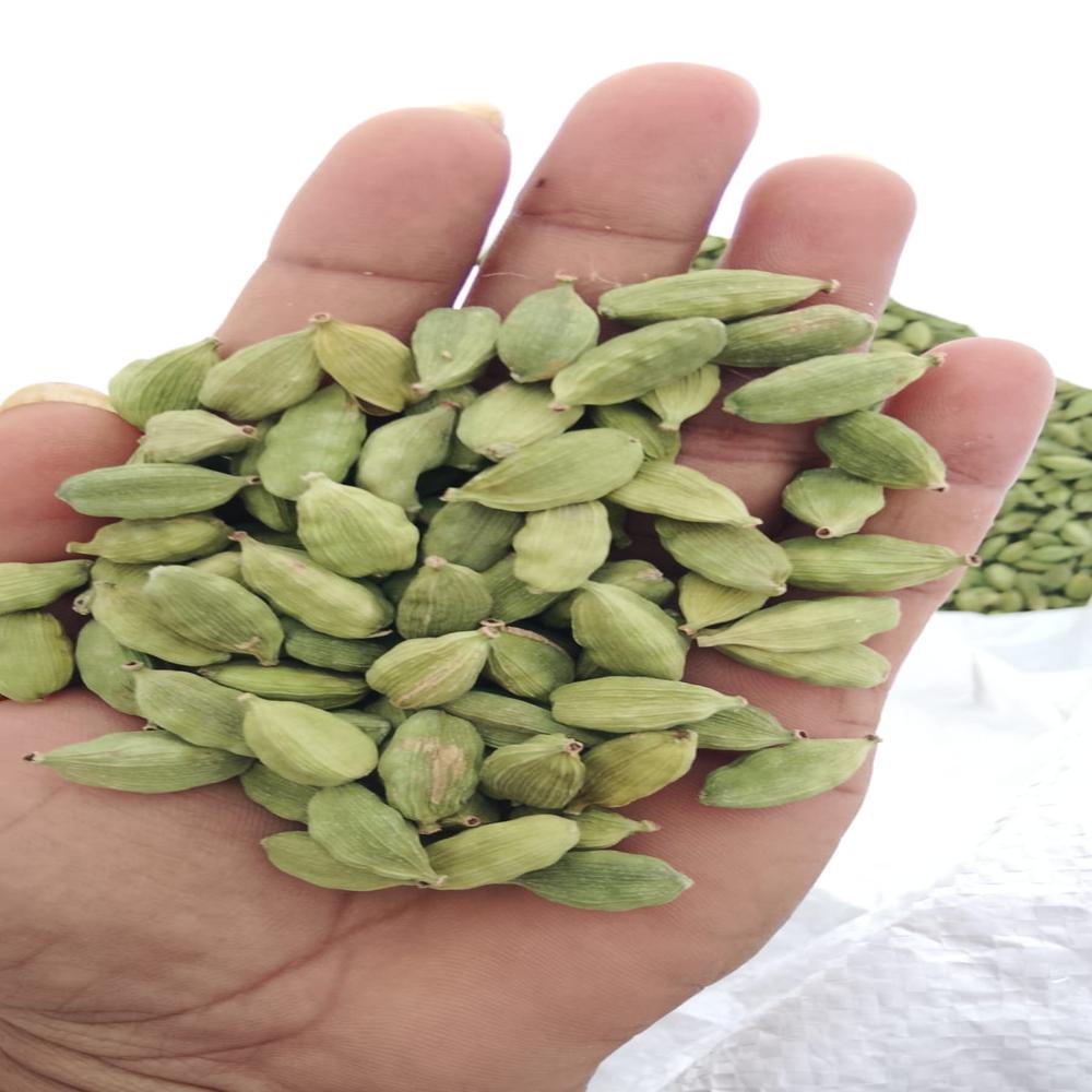 GREEN CARDAMOM 8 BOLD