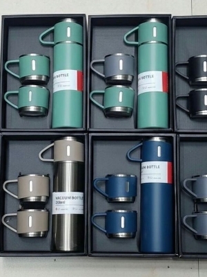 Vacuum flask set with 2 cups