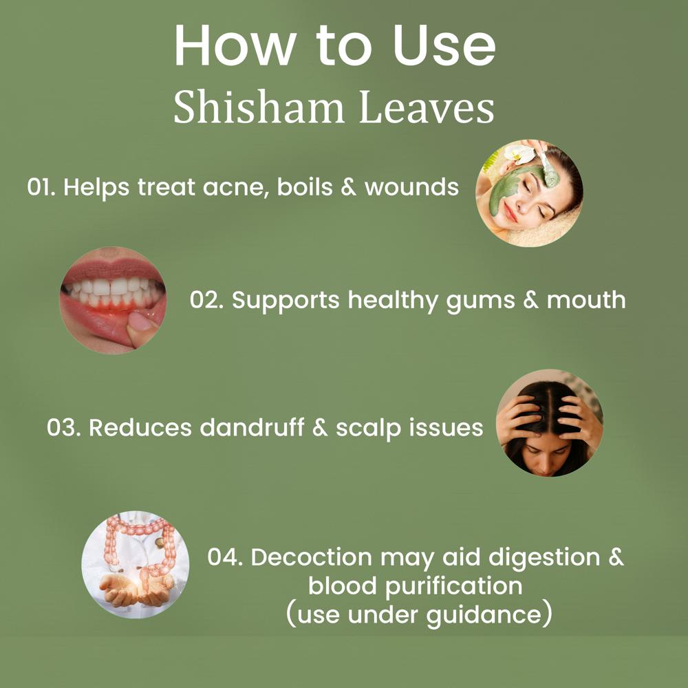 Lebrostone Shisham Leaves Herbal Powder Blood Detox, Healthy Skin & Natural Fever Relief(100gm)