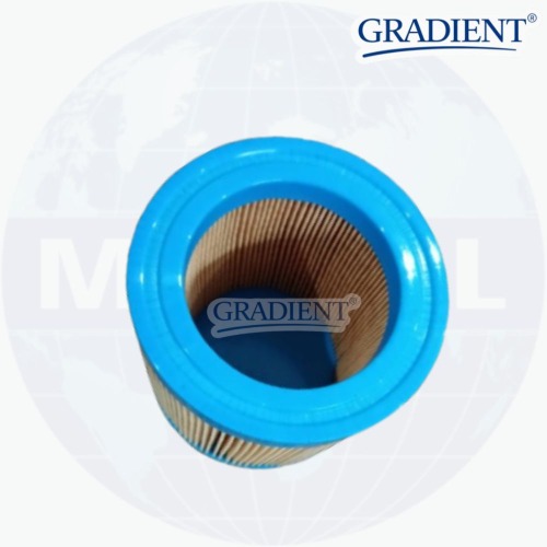 Elgi Air Filter B02 (B005705760002)- Height: 10 Centimeter (Cm)
