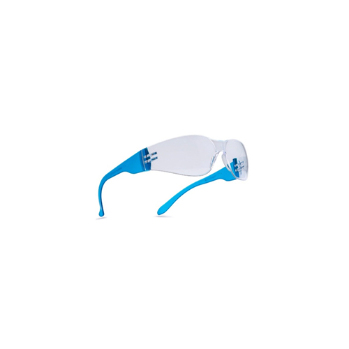 UD71 Clear Safety Goggles