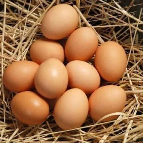 Desi Egg