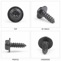 Ms Nickel Plating Screw - Color: Silver