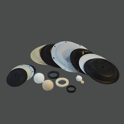 Aodd Pump Repair Kit