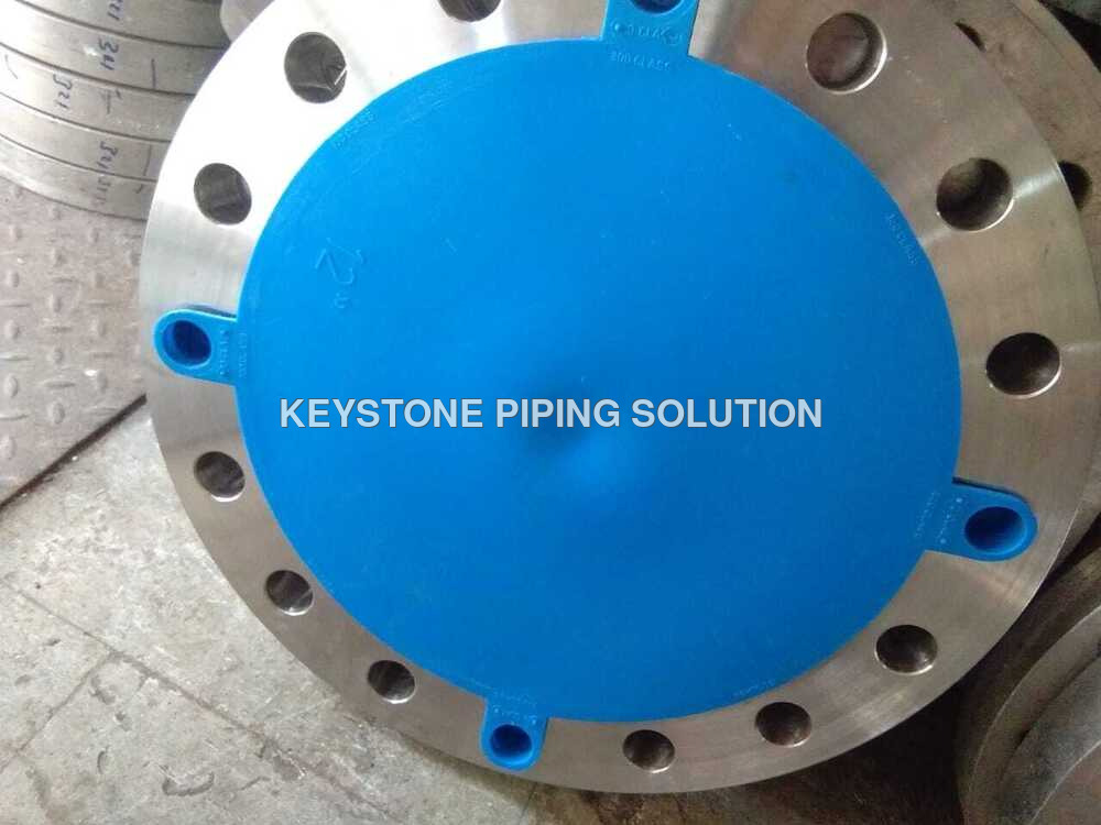Stainless Steel Flanges