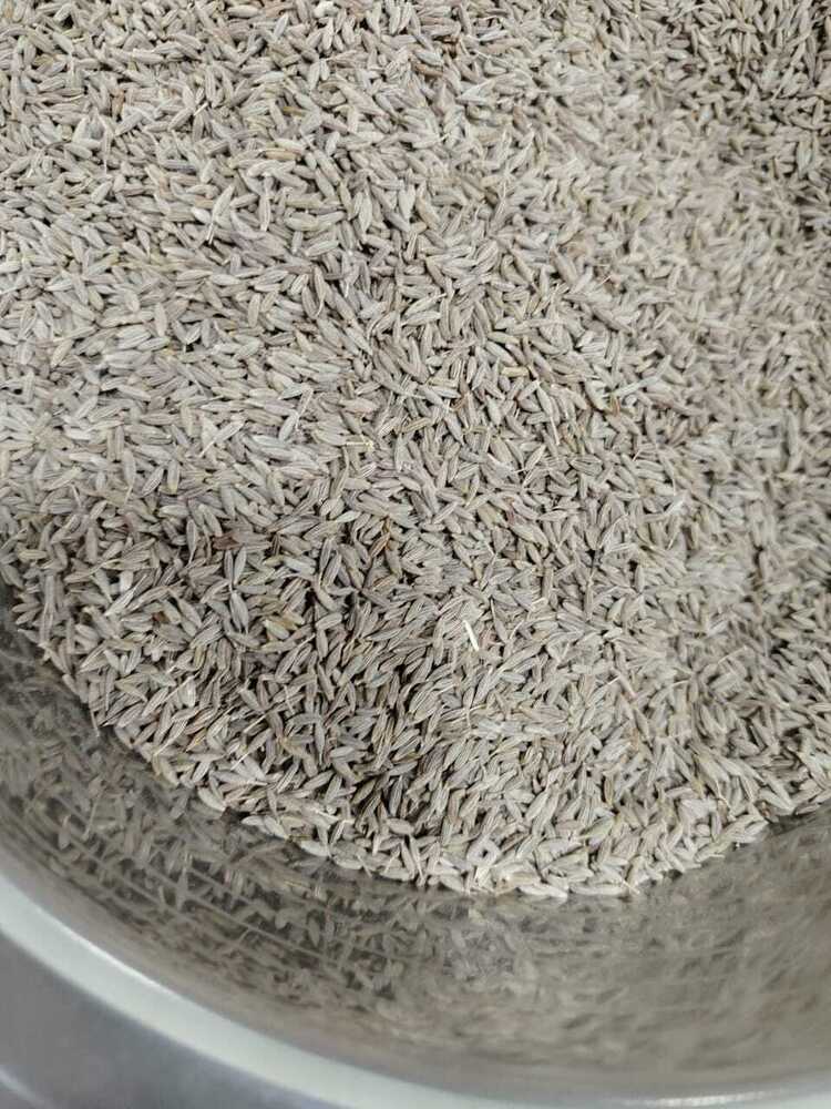 Cumin Seeds