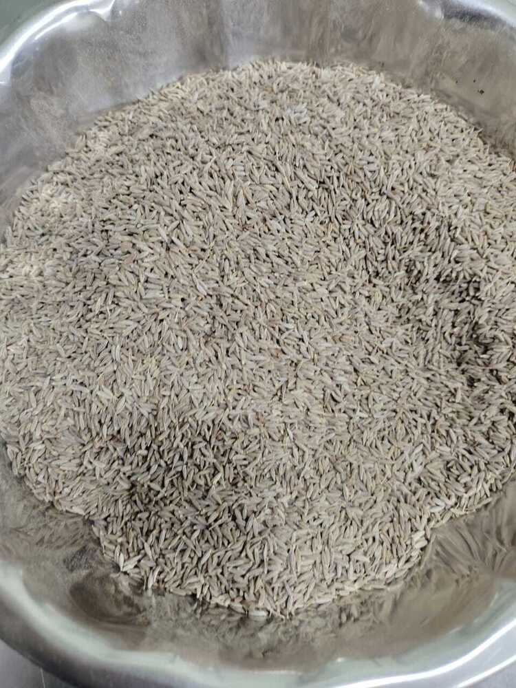 Cumin Seeds