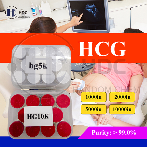 Human chorionic gonadotropin (hCG) 2000IU 5000IU 10000IU