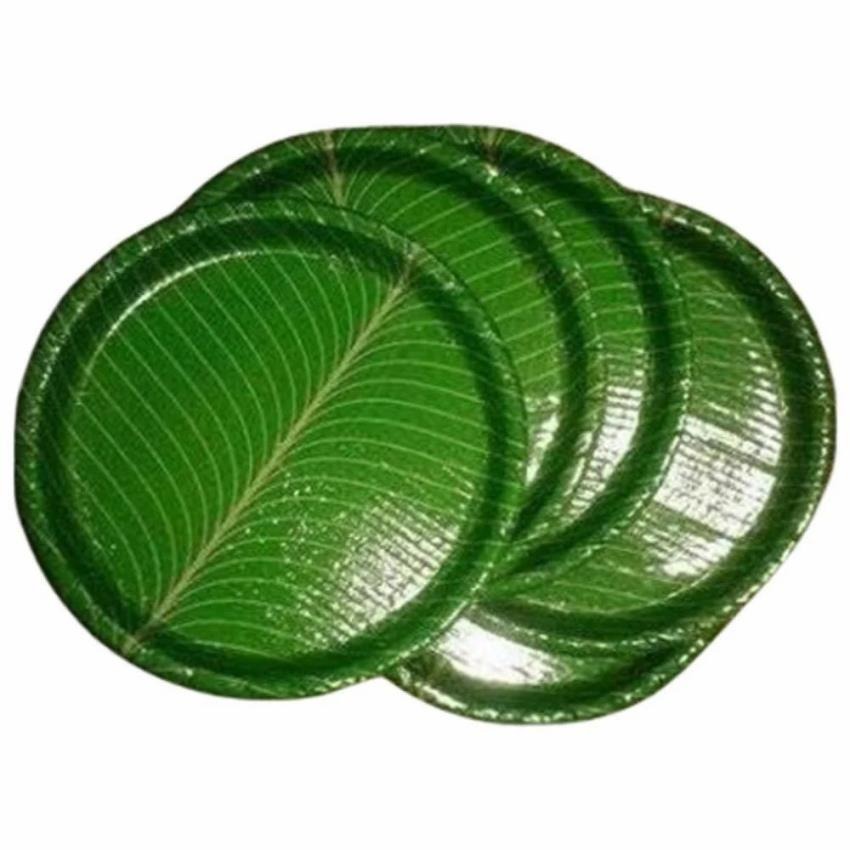 Printed Paper Plate - Color: Multicolor