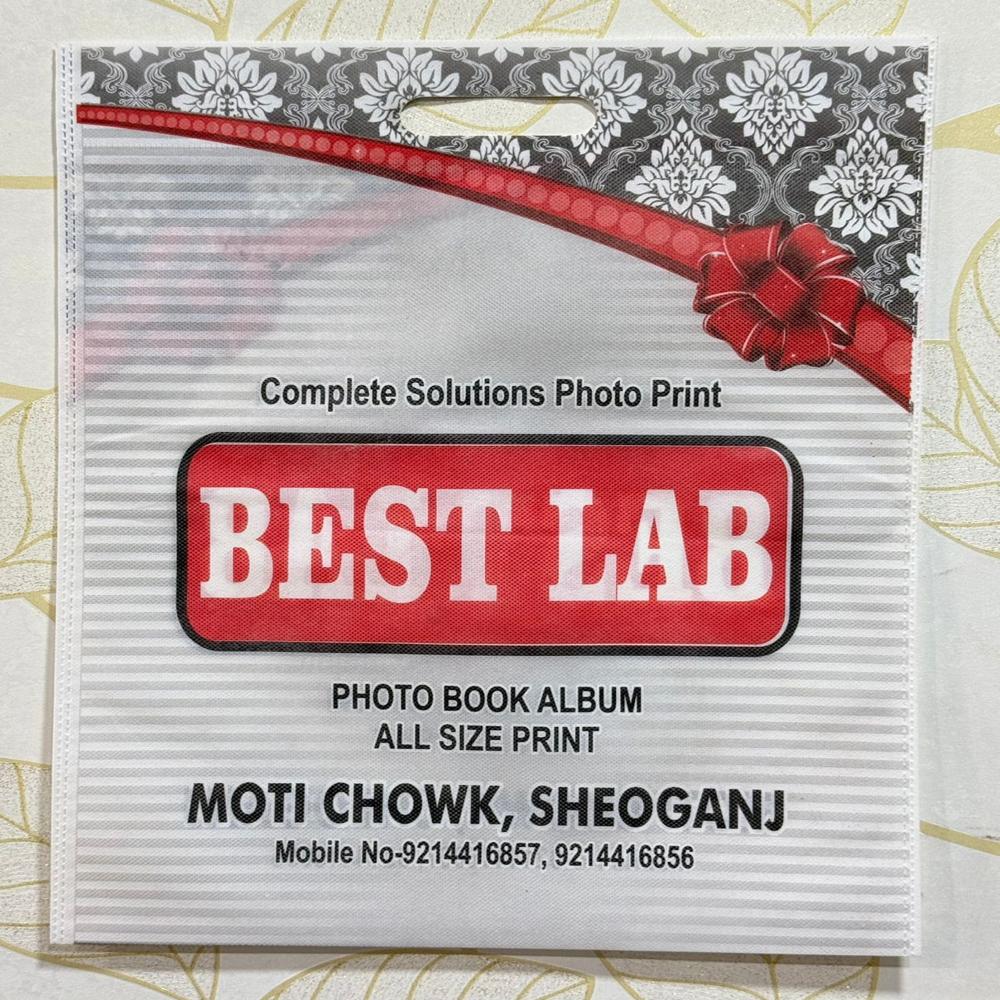 Non Woven D-Cut Printed Bag 