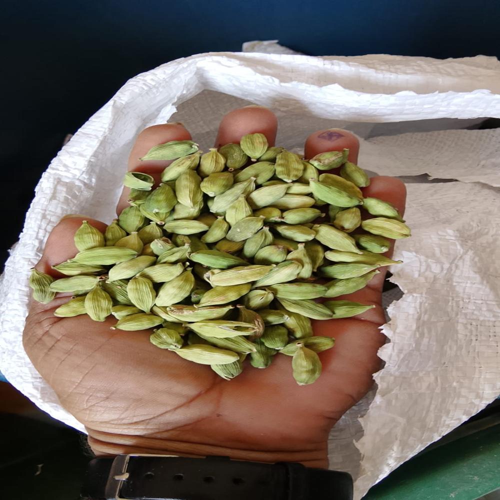 7-8 MM Green Cardamom