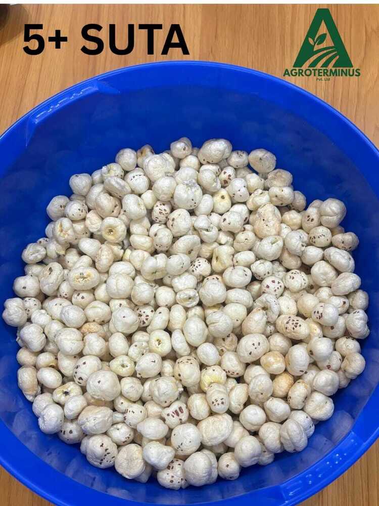 5 Plus Suta Pure Makhana