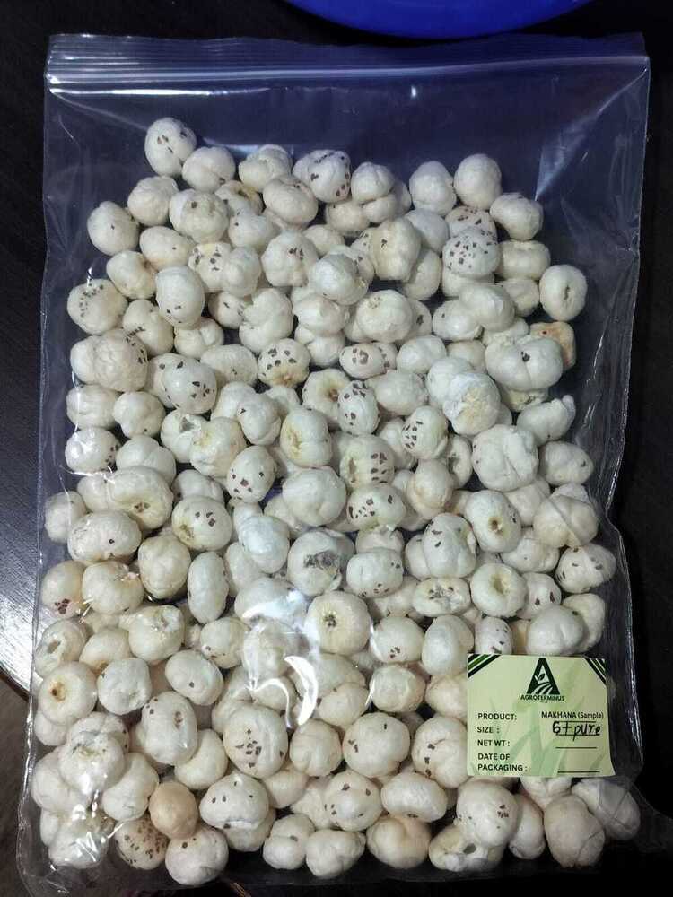 6 Plus Suta Raw Makhana