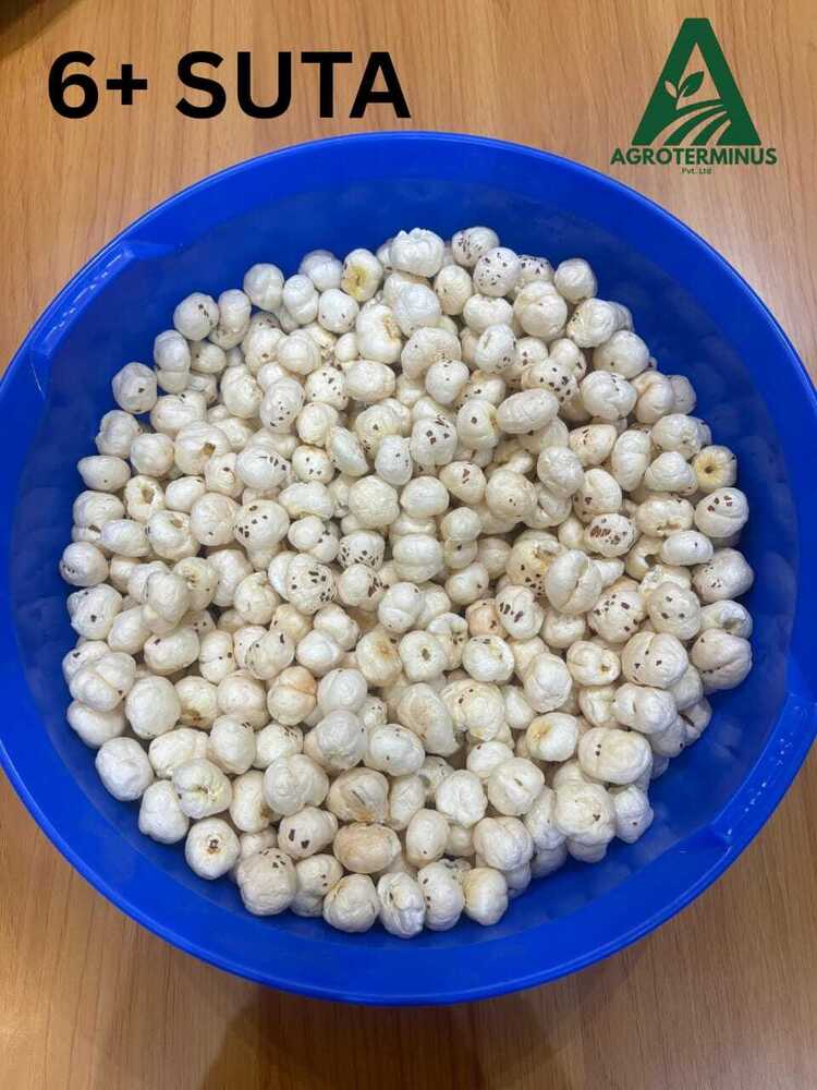 6 Plus Suta RAW Makhana