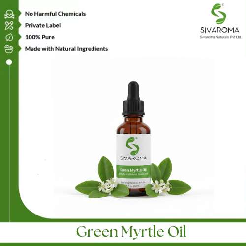 Green Myrtle Oil