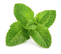 Natural Solar Dried Mint Leaves
