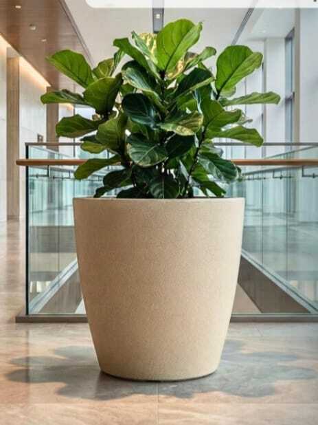 FRP Stylish Planter