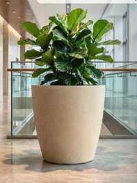 FRP Stylish Planter
