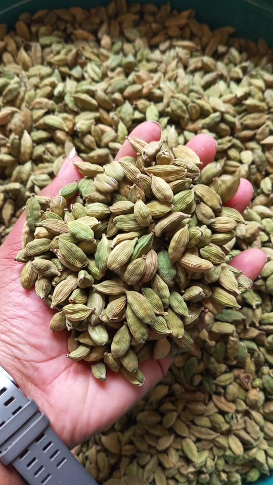 GREEN CARDAMOM 7MM