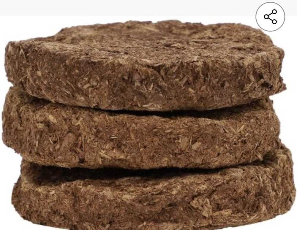 Cow Dung Cake