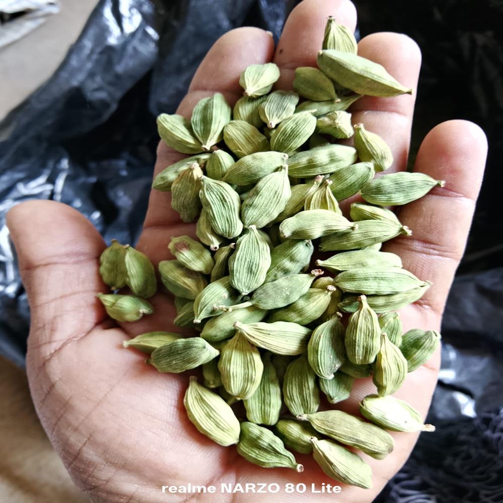 8MM  Green Cardamom