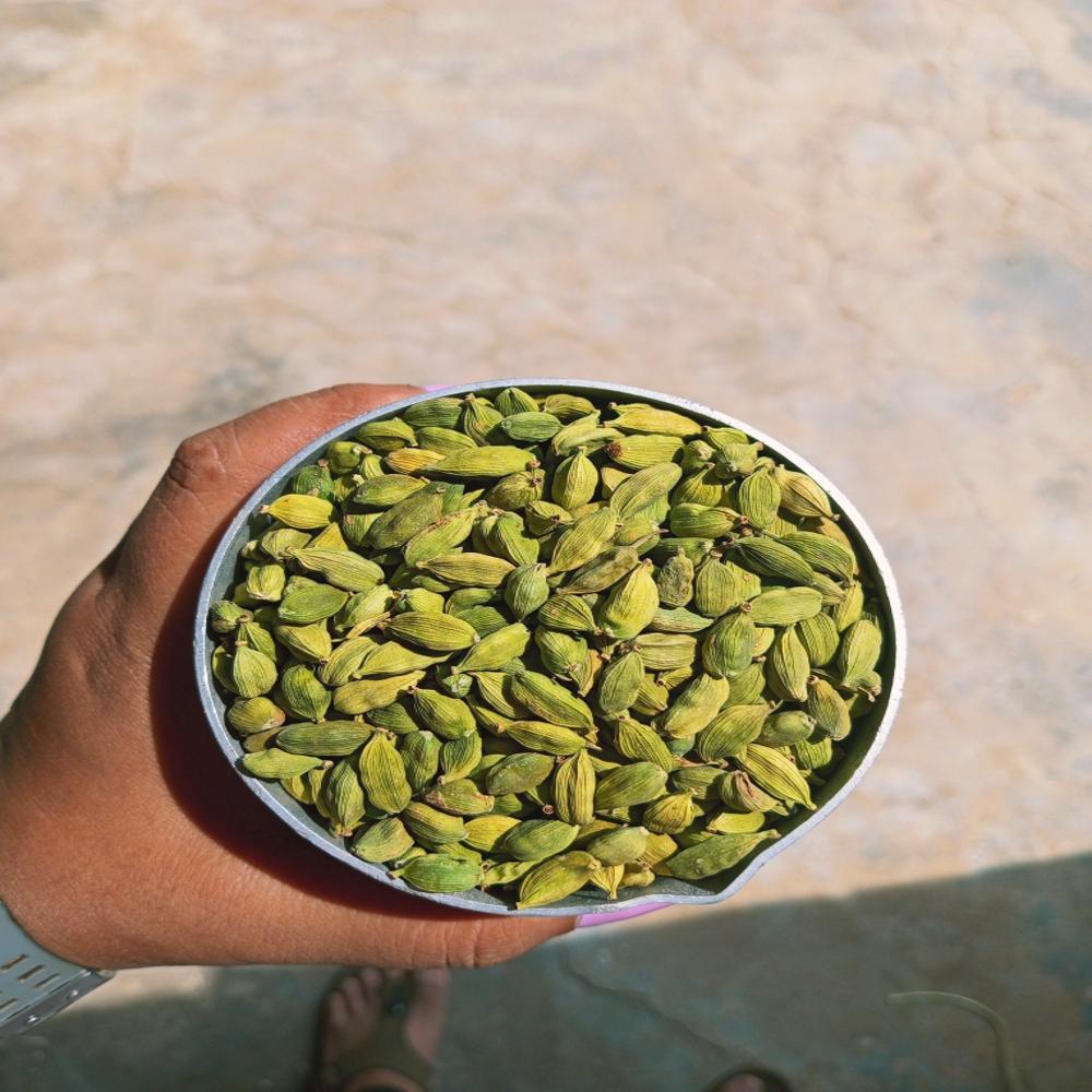 GREENCARDAMOM 6MM-7MM