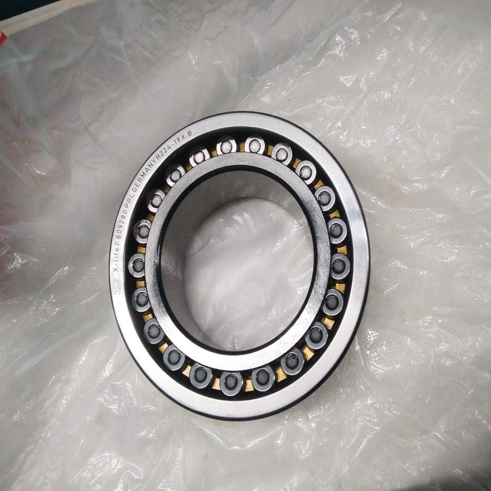 SL04 5020 PP ROLLER BEARING