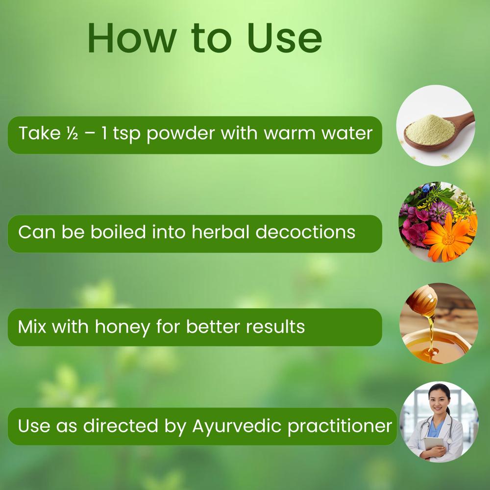 Lebrostone Vasaka Powder | Ayurvedic Lung Detox, Bronchial Support & Natural Immunity Booster |100g