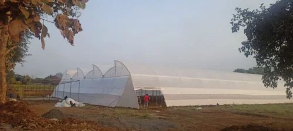 Agriculture Greenhouse Structure - Advantage: High Durability