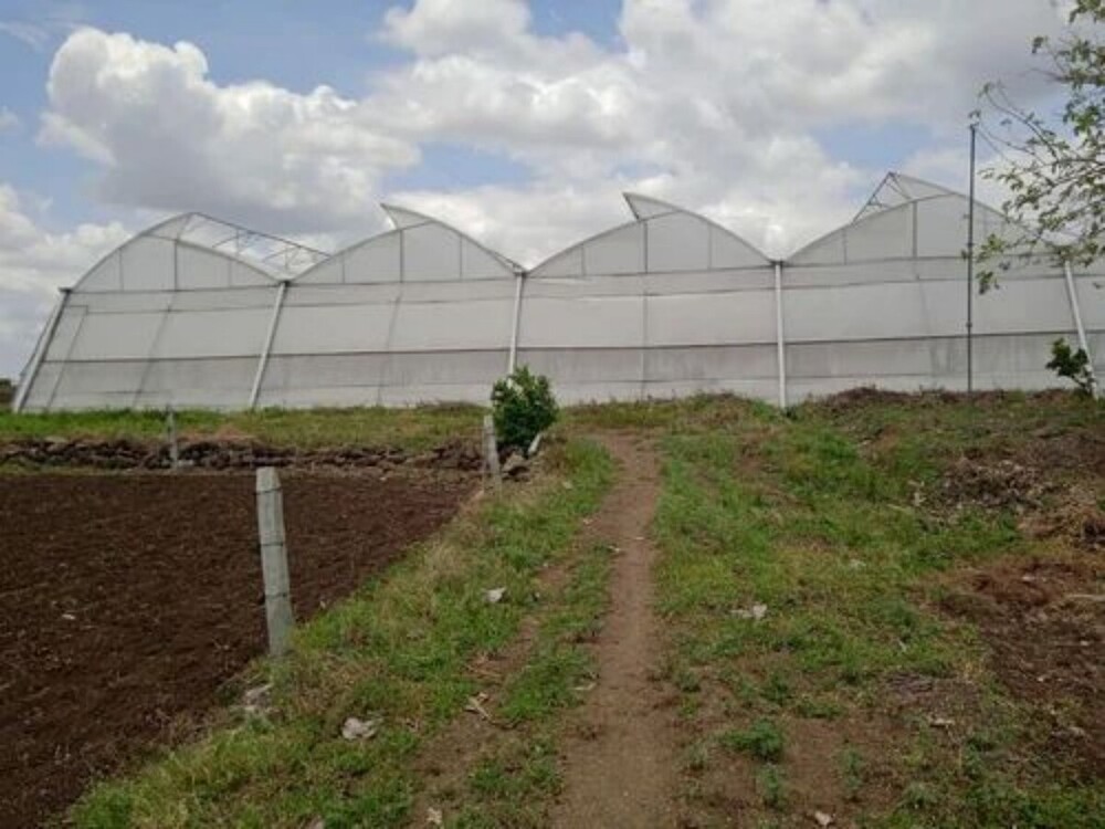 Second Hand Polyhouse Work 020 - Advantage: Cost-Effective