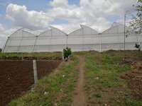 Second Hand Polyhouse Work 020 - Advantage: Cost-effective