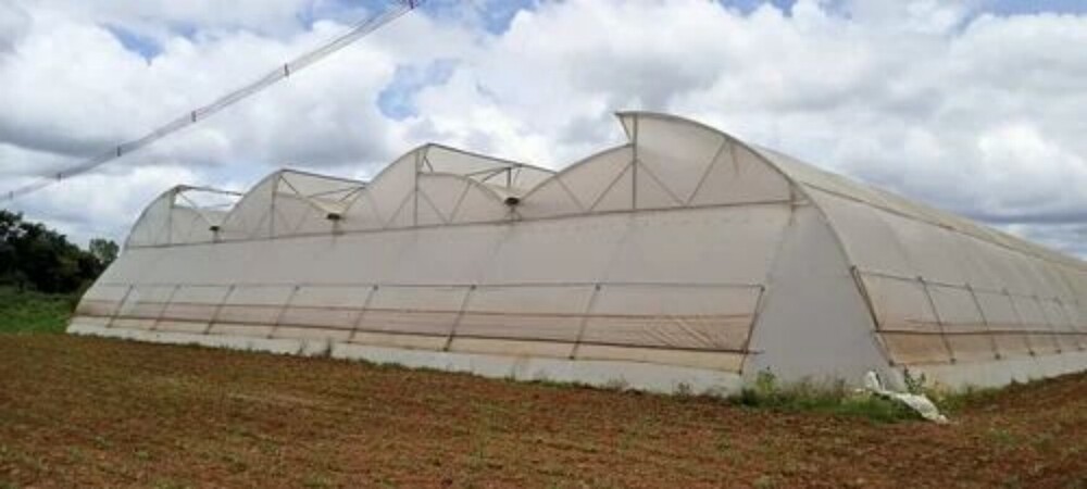 Waterproof HDPE Agricultural Greenhouses 535 - 7mm HDPE Film, Modular Green/White Frame, Dome/Cylindrical | UV Resistant, Quick Setup, High Translucency
