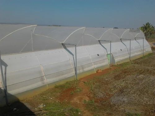 Waterproof HDPE Agricultural Greenhouses 717