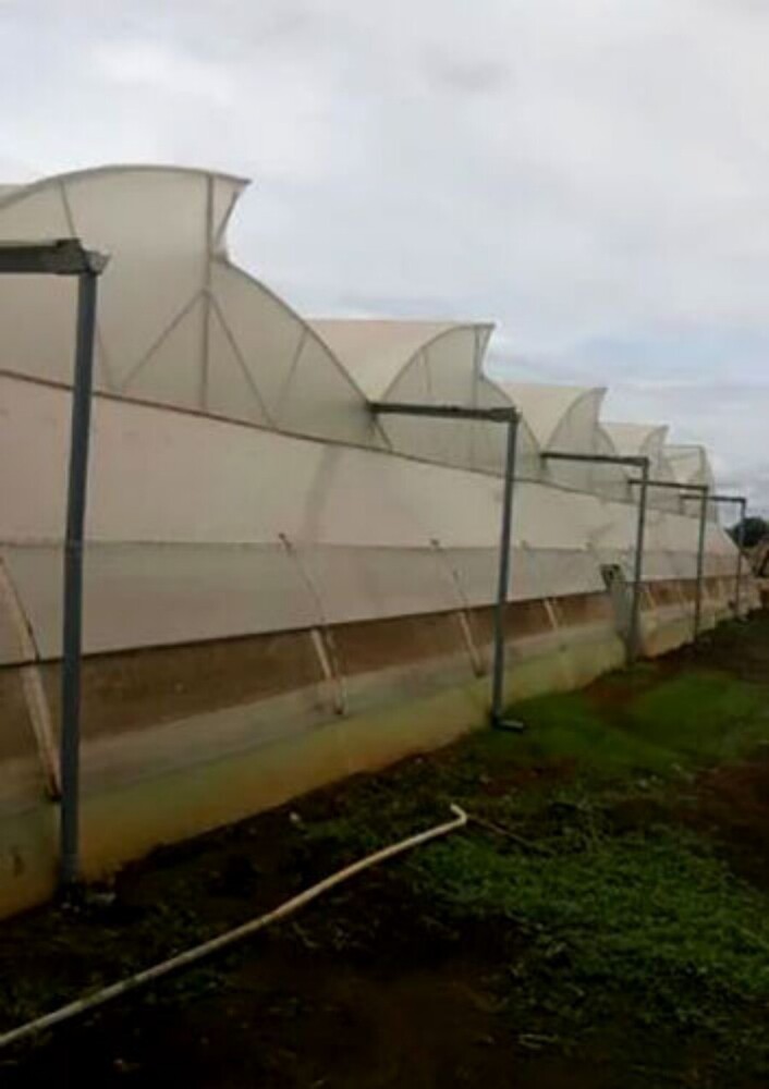 Waterproof Hdpe Agricultural Greenhouses - Features: Uv Resistant