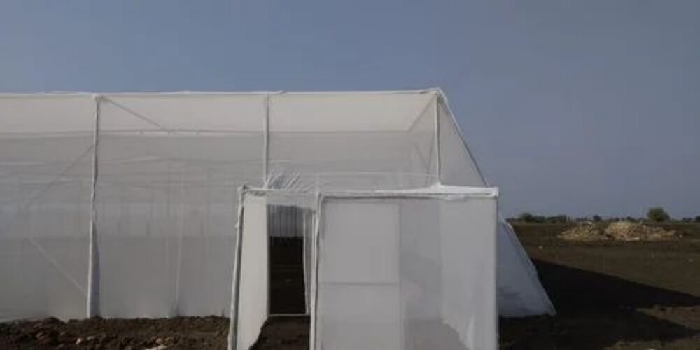 Agricultural Shadenet House 313 - Coating Type: Anti-Corrosion Gi Coating