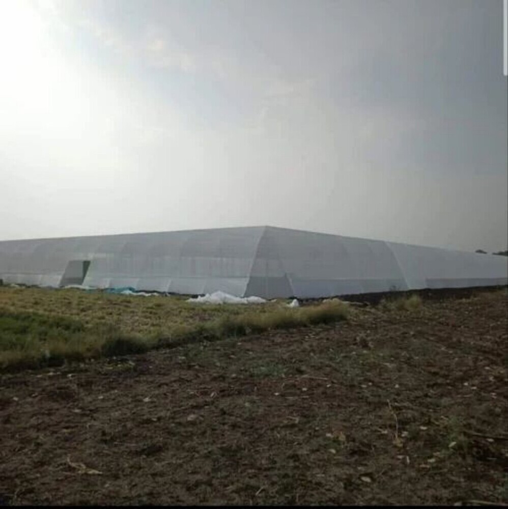 Agricultural Shadenet House - Coating Type: Uv Stabilized