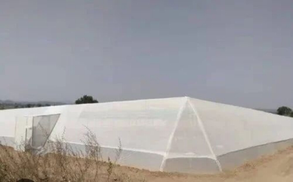Flat Shade Net House - Coating Type: Galvanized