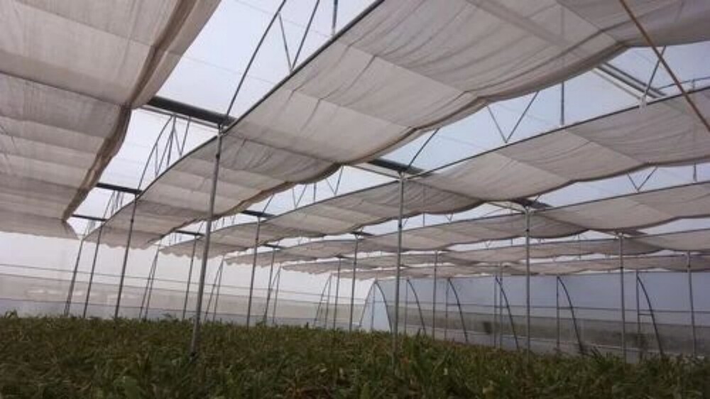 Second Hand Polyhouse Work 111 - Coating Type: Uv Resistant Poly Film Coating