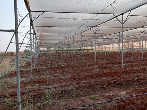 Second Hand Shade Net House