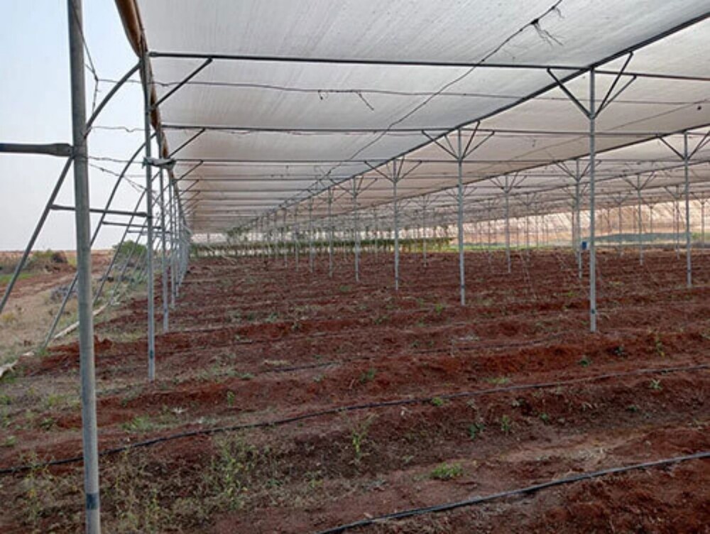 Agricultural Shade Net
