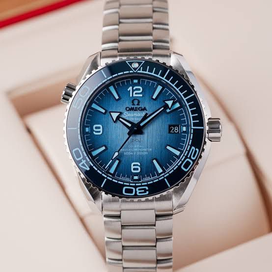Omega Seamaster Professional