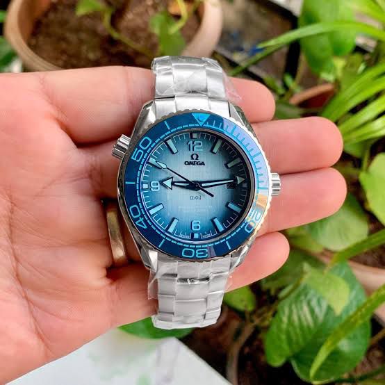 Omega Seamaster Professional