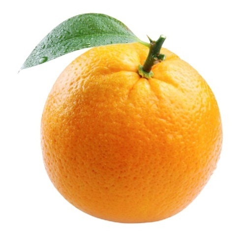 Fresh Oranges