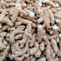 Black Turmeric Powder - Cultivation Type: Organic