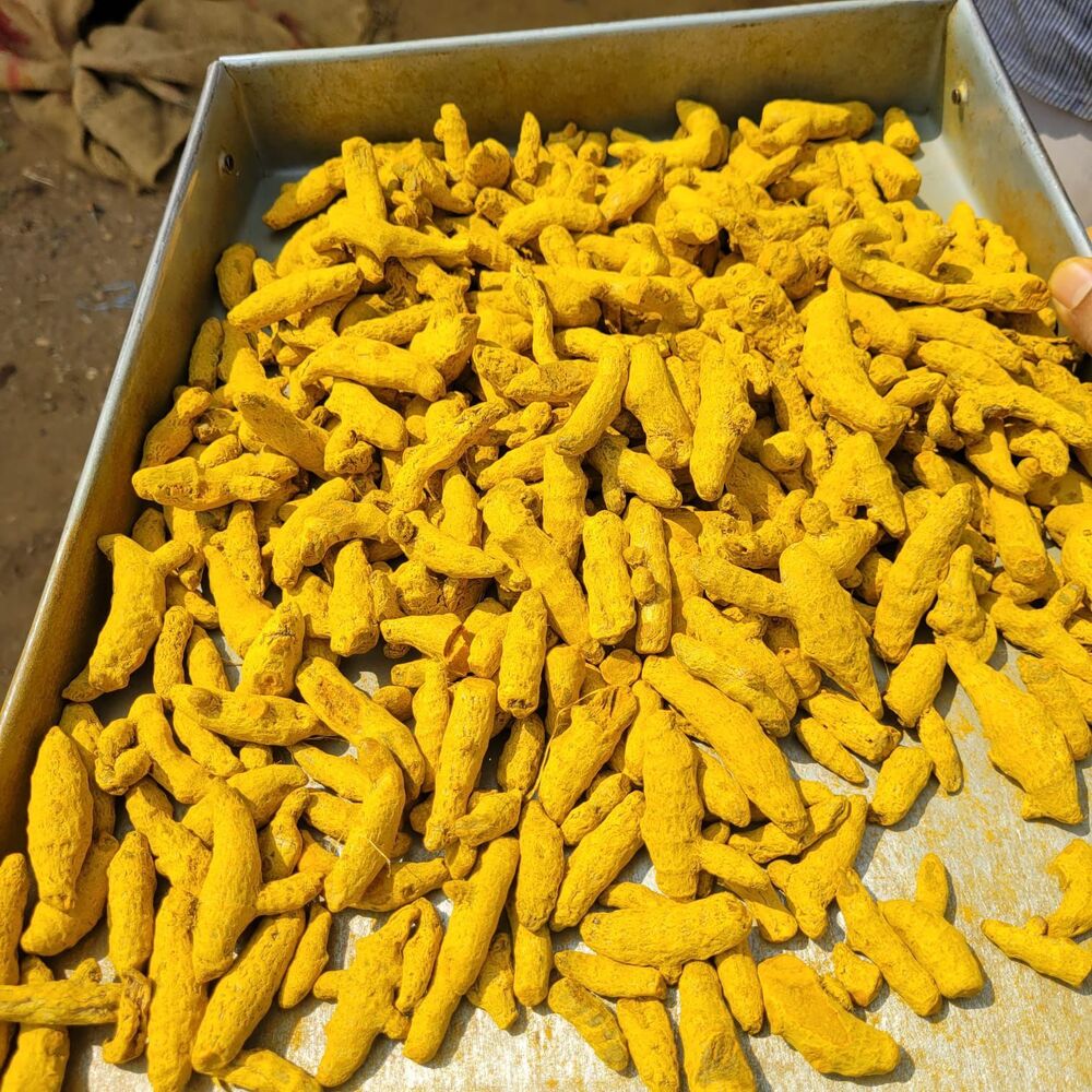 Organic Turmeric Tukdi
