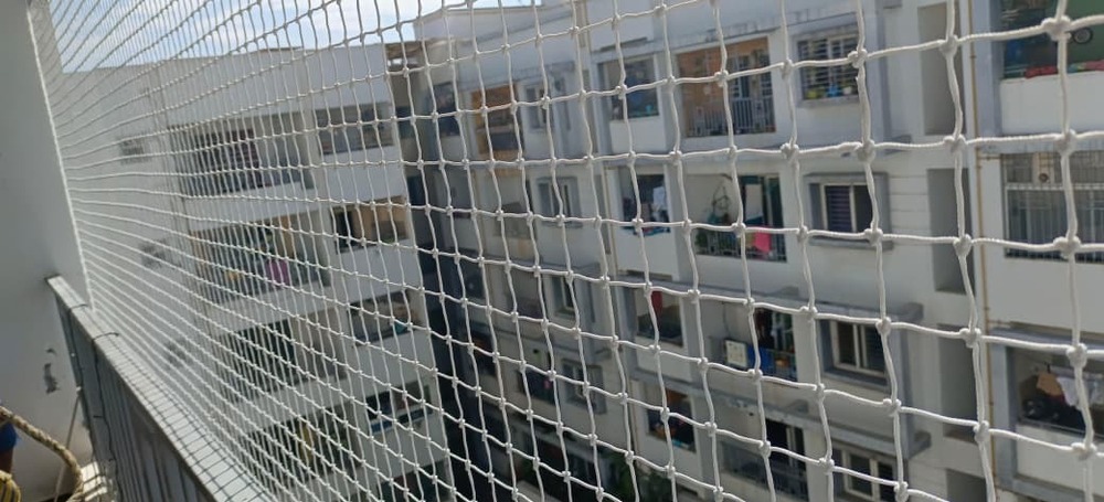 Birds Net