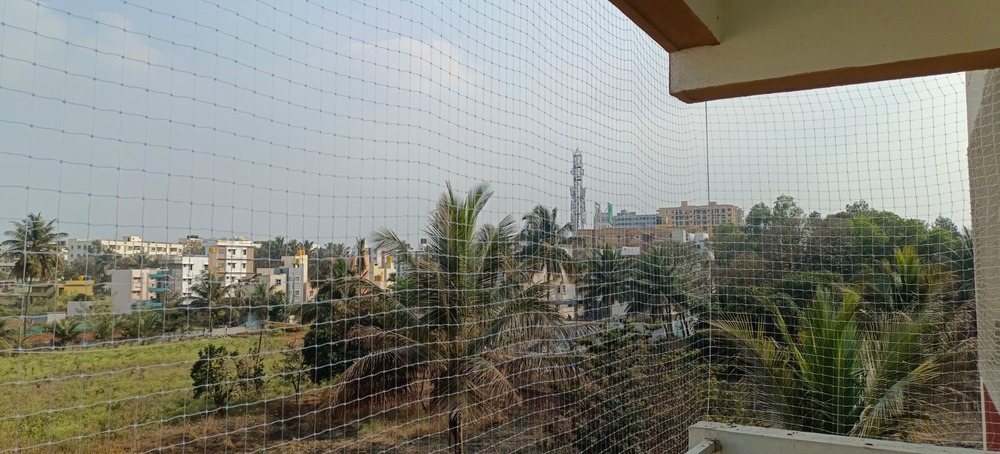 Birds Net
