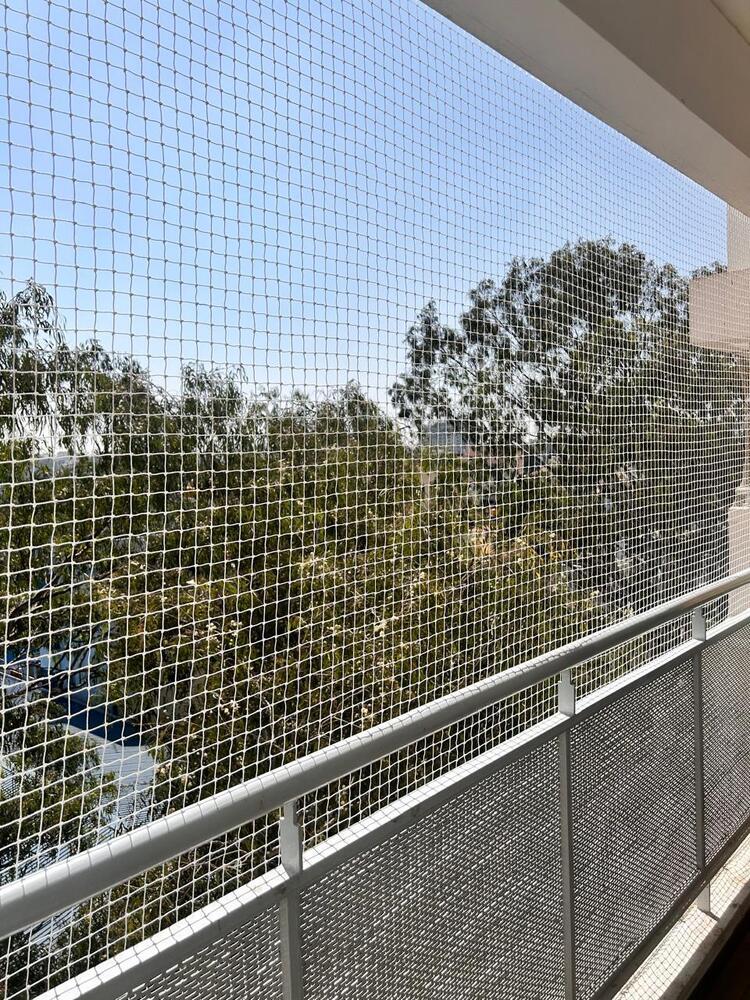 Birds Net